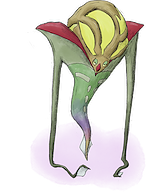 Mega Malamar