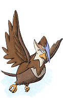 Staraptor