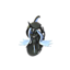 Tapu Fini