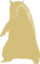 Shadow Typhlosion